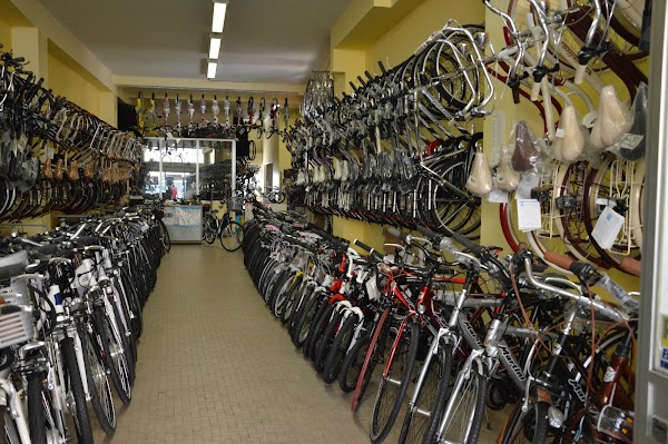Negozio di vendita e riparazione biciclette